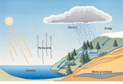 obieg_wody_w_przyrodzie_hydrologiczny-734ae9a