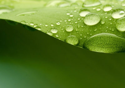 Ruch wody w przyrodzie i jej zanieczyszczenie